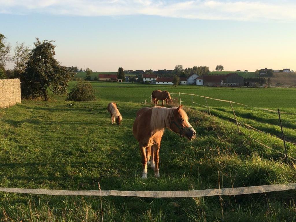 Ferienhof Loew Salzweg エクステリア 写真