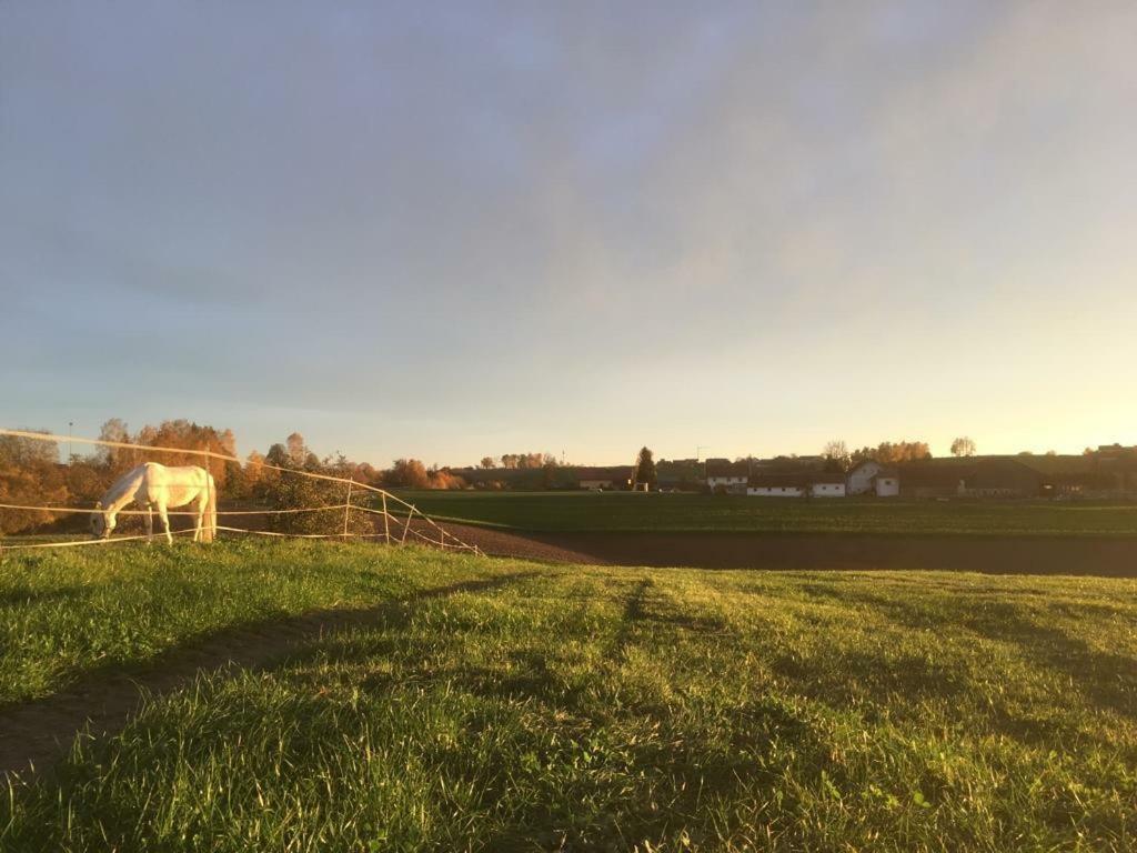 Ferienhof Loew Salzweg エクステリア 写真